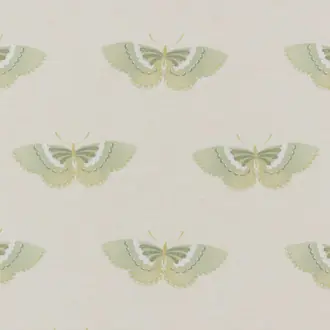 Kano Pistachio