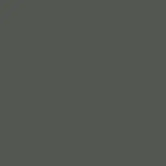 Amsterdam Green 66 Paint