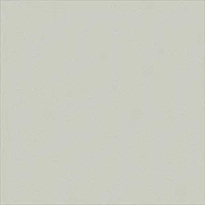 Pebble 106-2017