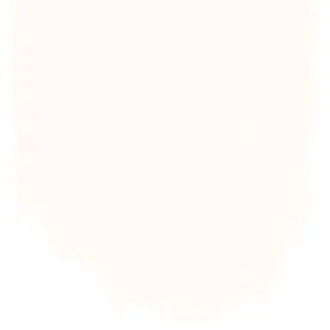 Stucco White No 5 Paint