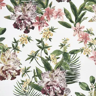 Aloha Orchids 10556