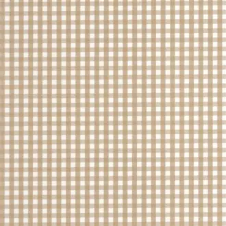 Gingham Charm 202062201