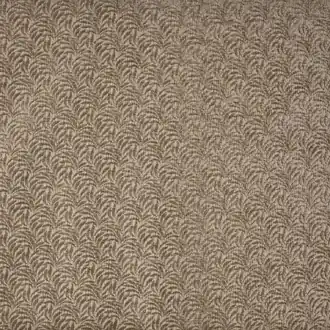 Casini 4308-106