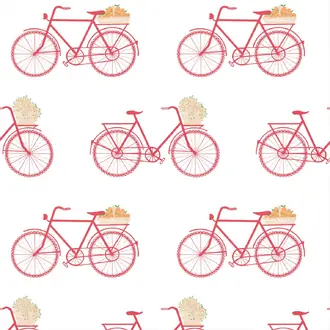 Bicicletas GDW-5435 001