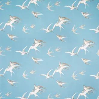 Swallows DVIPSW203