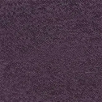 Parotega Nf 5132-96