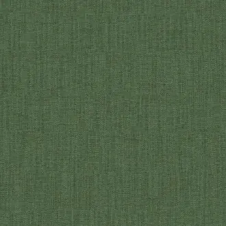 Casual Evergreen