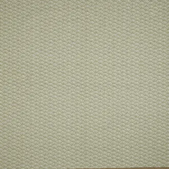 Tatami BCIA/TATAMWIL