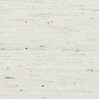 Extra Fine Arrowroot Feather 71