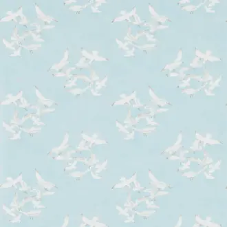 Seagulls 214585
