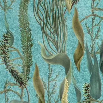Aquatic Plants WP20716