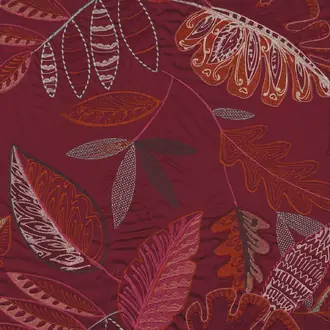 Maranta 4087 05 38