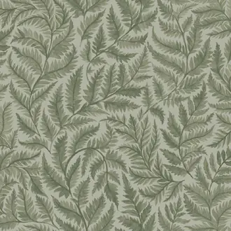 Ferns 7792
