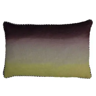 Aurore CO47803