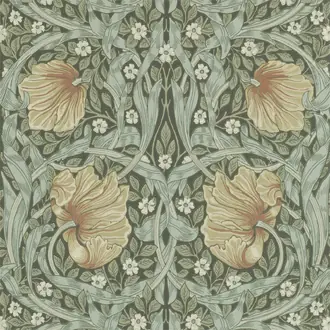Pimpernel 210388