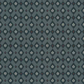 Kimono 238-96