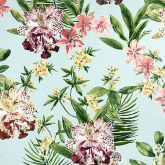 Aloha Orchids 10558