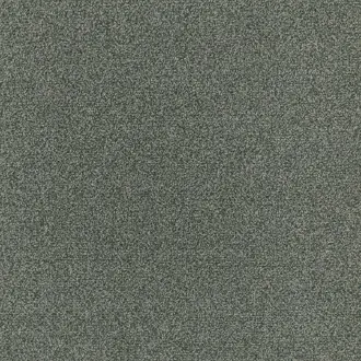 Kokoro Spruce
