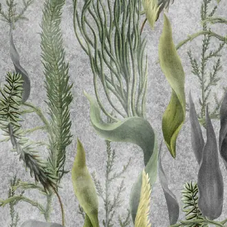 Aquatic Plants WP20718