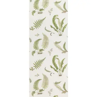 Ferns BW45044-10