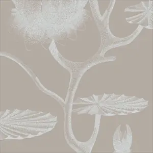 Lily 69-3110