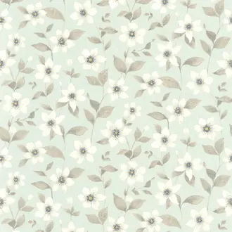 Clematites 87646120
