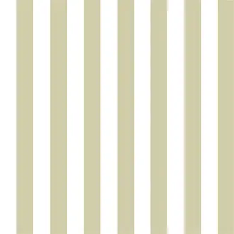 Captains Cove Stripe FRL5271-02