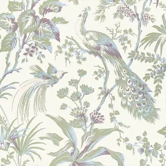 Peacock Toile AT57829