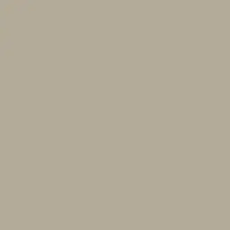 Beech Grey Paint