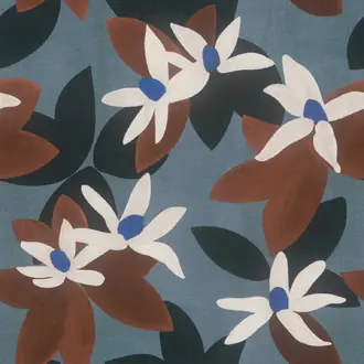 Clematite 19598536