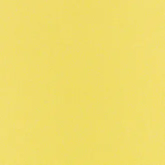 Sunny Lemonade