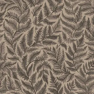 Ferns 7793