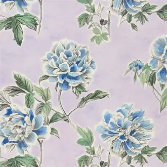 Kaori F2110-01