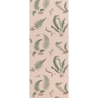 Ferns BW45044-11