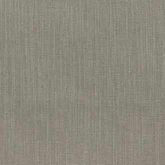 Tatami 01