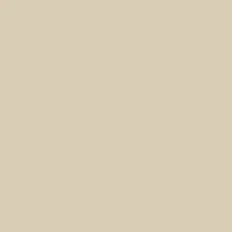 Beige Shadow 24 Paint