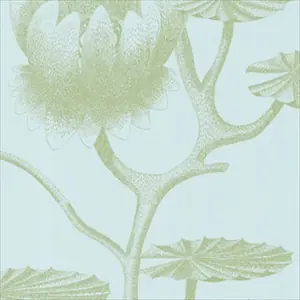 Lily 69-3112