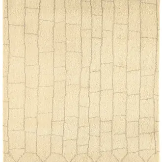 Amira Am005