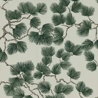 Pine 804-78