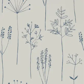 Stipa 112019