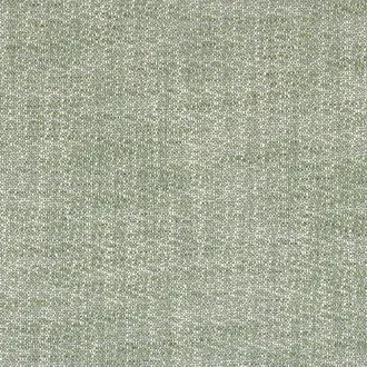 Tramea FR 48920530