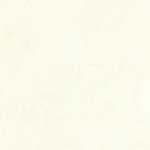 Quartz CW5410-29