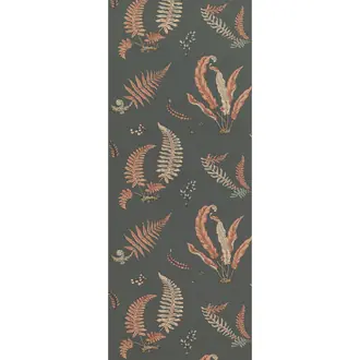 Ferns BW45044-13