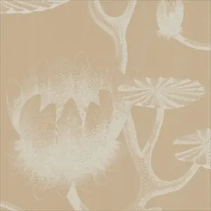 Lily 69-3113