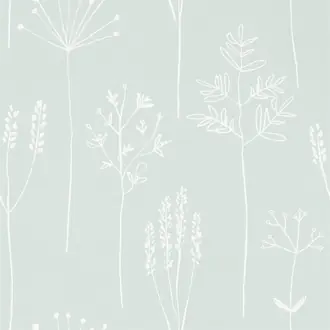 Stipa 112020