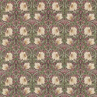 Pimpernel 226454