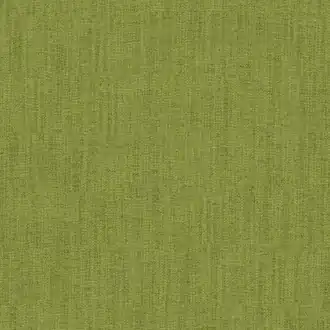 Casual Lawn