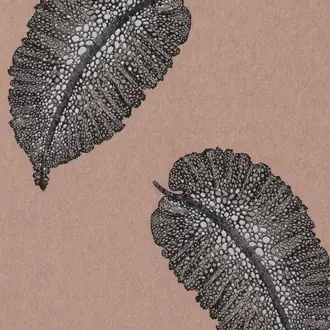 Paraggi W7218-02