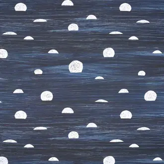 Belle lune FP059002