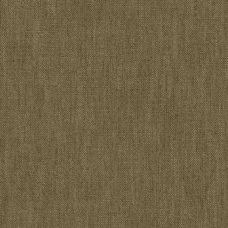 Parker Olive